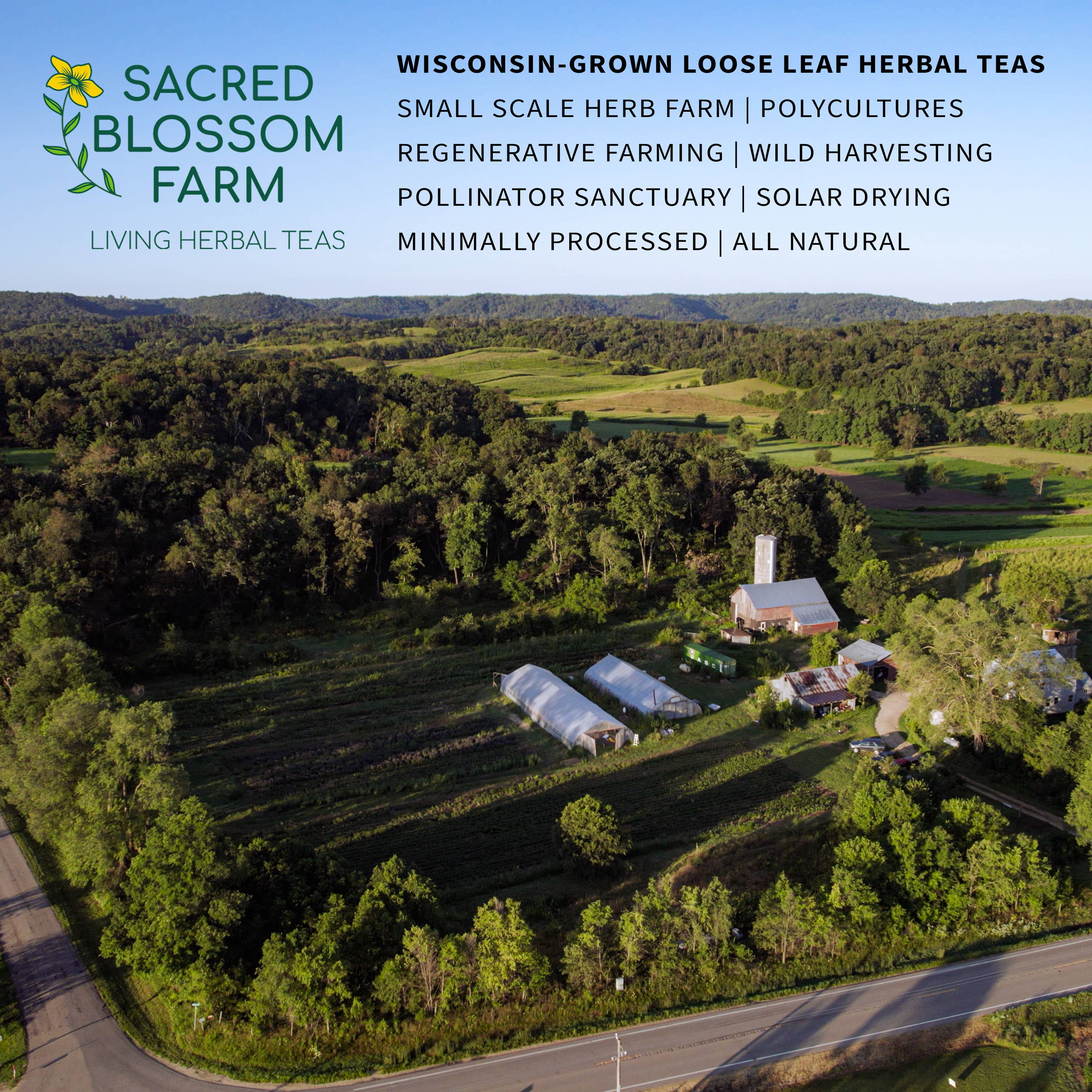 Sacred Blossom Farm - Wholesale Health/Detox Tea - Angel Herbal Tea6