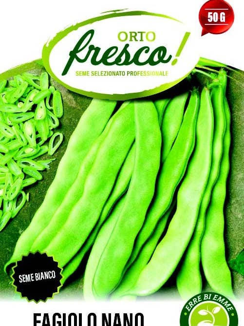 Buschbohne Mangiatutto Marconi für den Großhandel von Sementi & Barbatelle