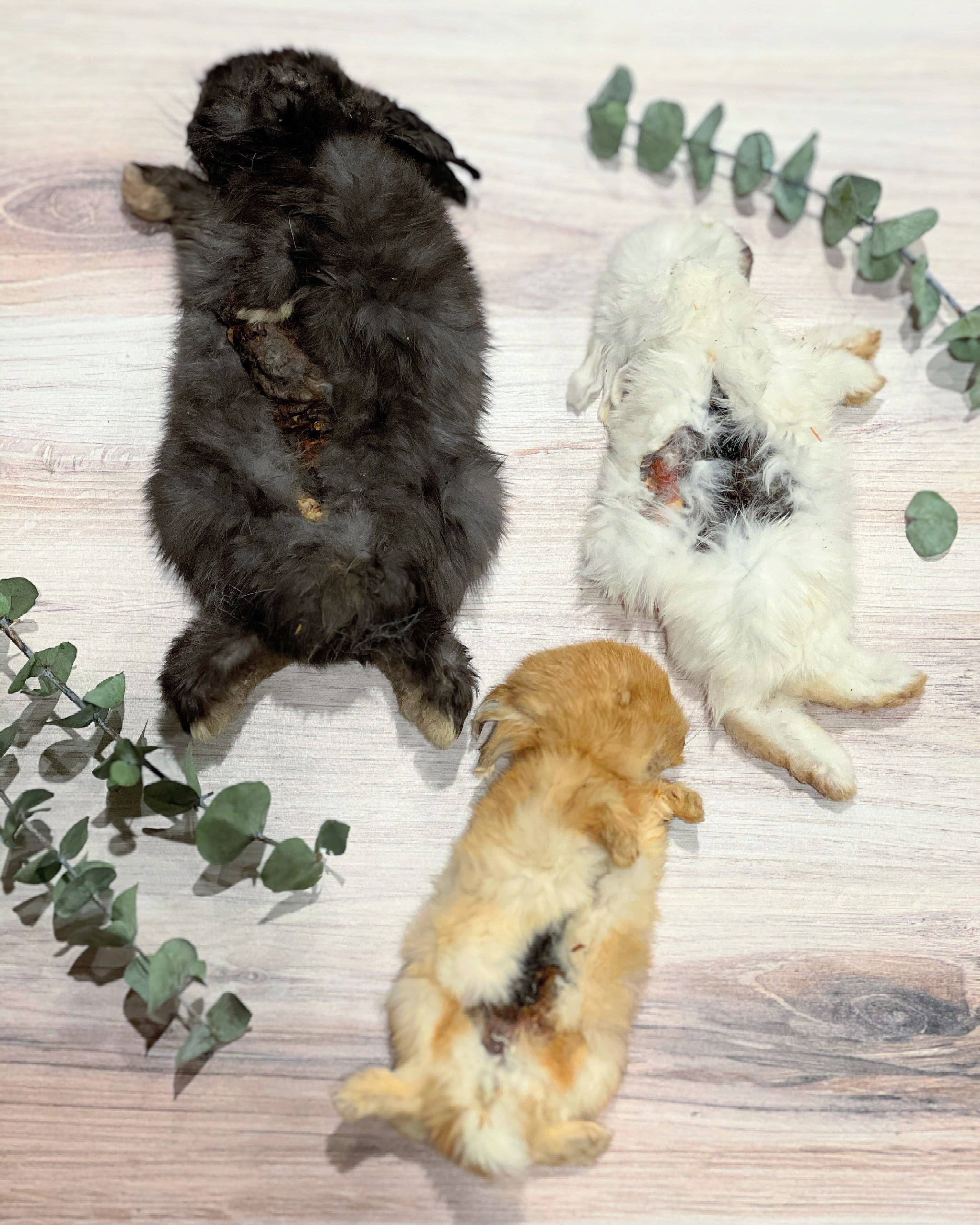 Naked Beasts, Inc. - Wholesale Pet Treats - Dog - Whole Prey Rabbit Fuzzies - Limited Edition1