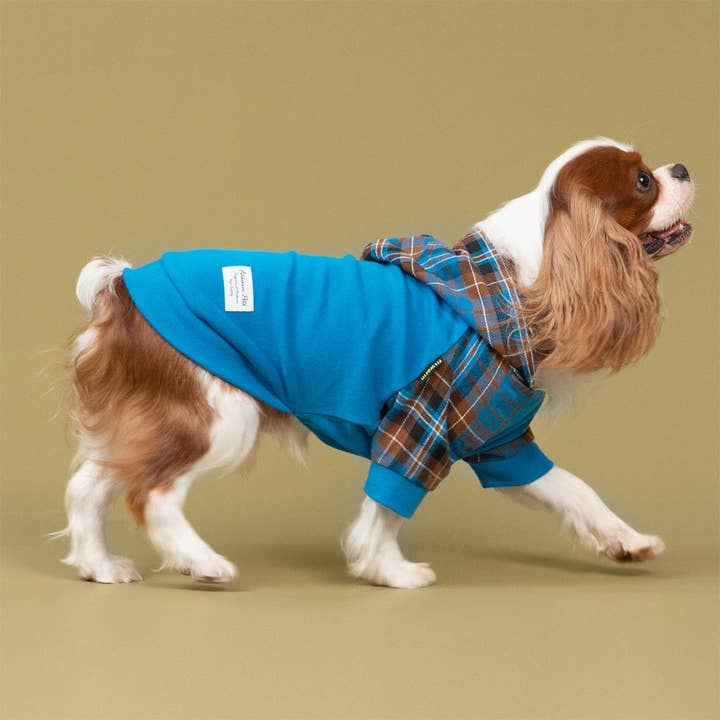Fitwarm - Wholesale Pet Hoodie - Dog - Tartan Plaid Hoodie10