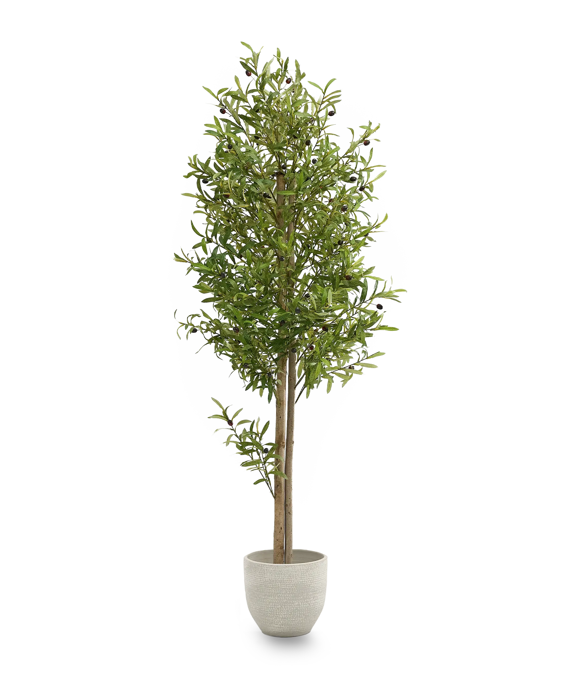 Maia Shop - Vente Plantes artificielles - Olivier Artificiel 180 cm1