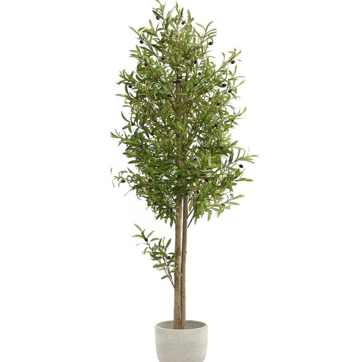 Maia Shop - Wholesale Artificial Plant - Artificial Olive Tree 180 cm1
