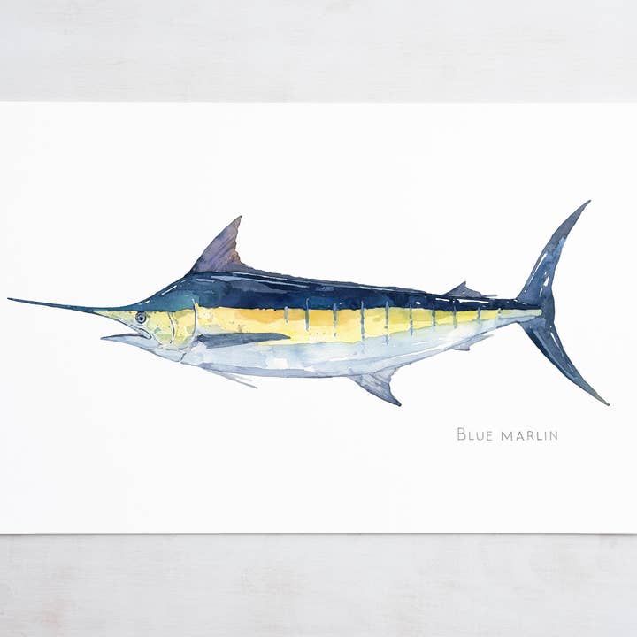 Impression de marlin bleu, peinture à l'aquarelle sur les poissons de mer pour la vente par Studio Tuesday