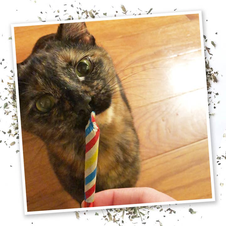 Meowijuana - Wholesale Catnip - Birthjaysâ„¢ - Party Sized Catnip Joints