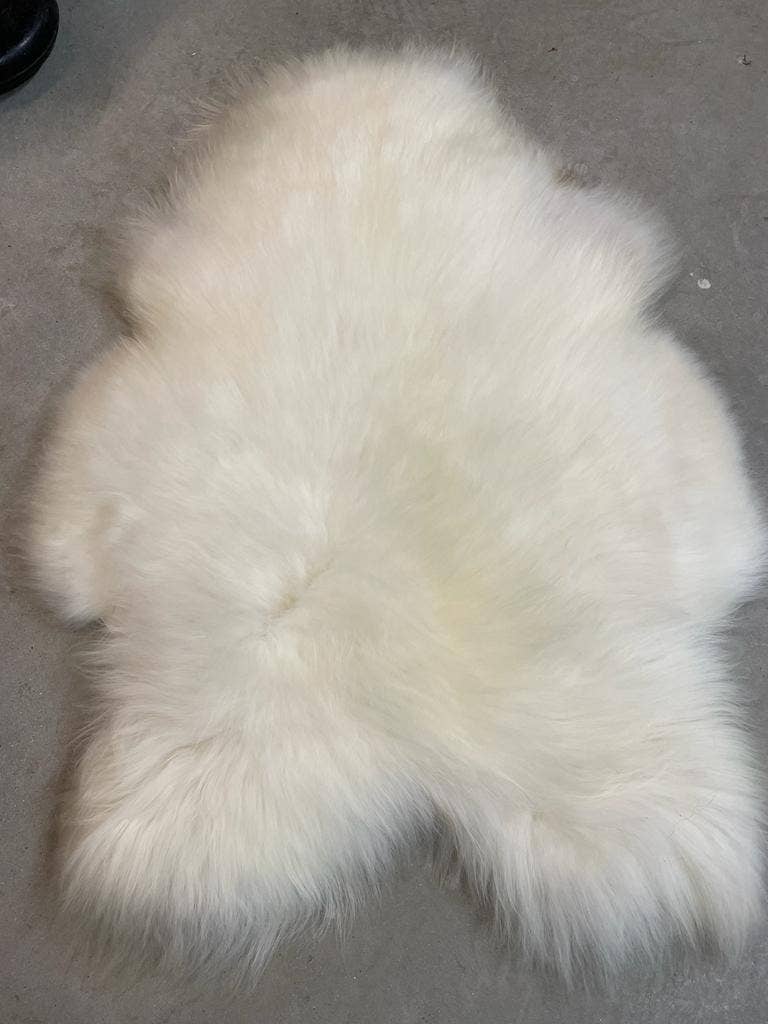 WeeSkins Holland – Engroshandel Løst tæppe – Islandsk lammeskind, stilfuldt og krøllet0