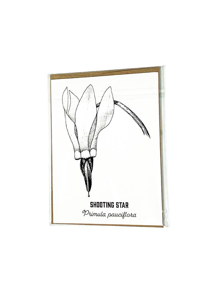 Madrona Press - Wholesale DIY Craft Kit - Watercolor Card Kit - 1 Wildflower Card4