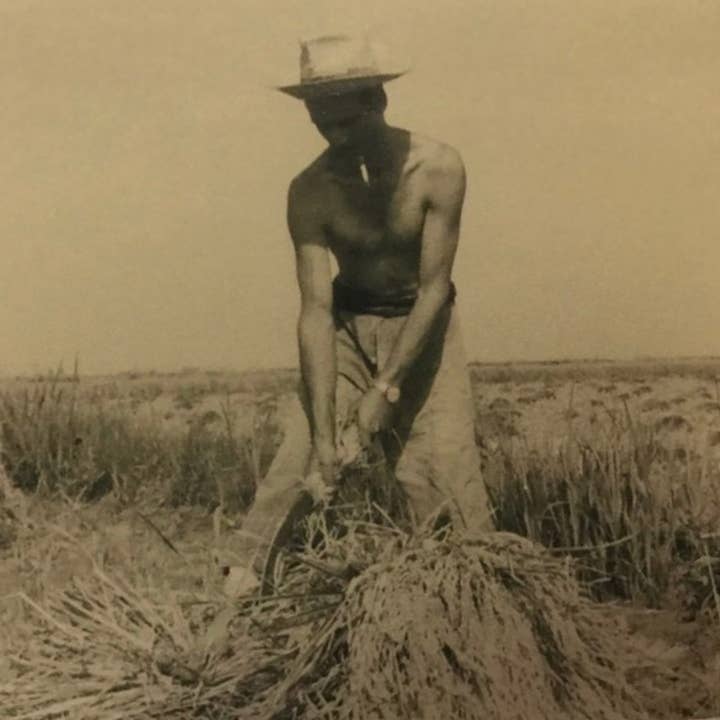 Khayyan Specialty Foods - Wholesale Rice - Paella Rice Valencia Select 18/1kg - LA PERLA9