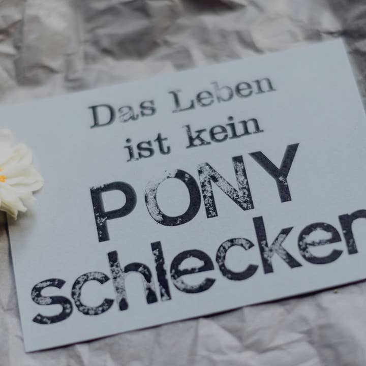 SAJA Design Atelier - Wholesale Postcard - Stamped postcard “Ponyschlecken”2