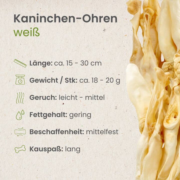 Kauartikel.com GmbH - Wholesale Pet Bone/Rawhide - Dog - rabbit ears, white2