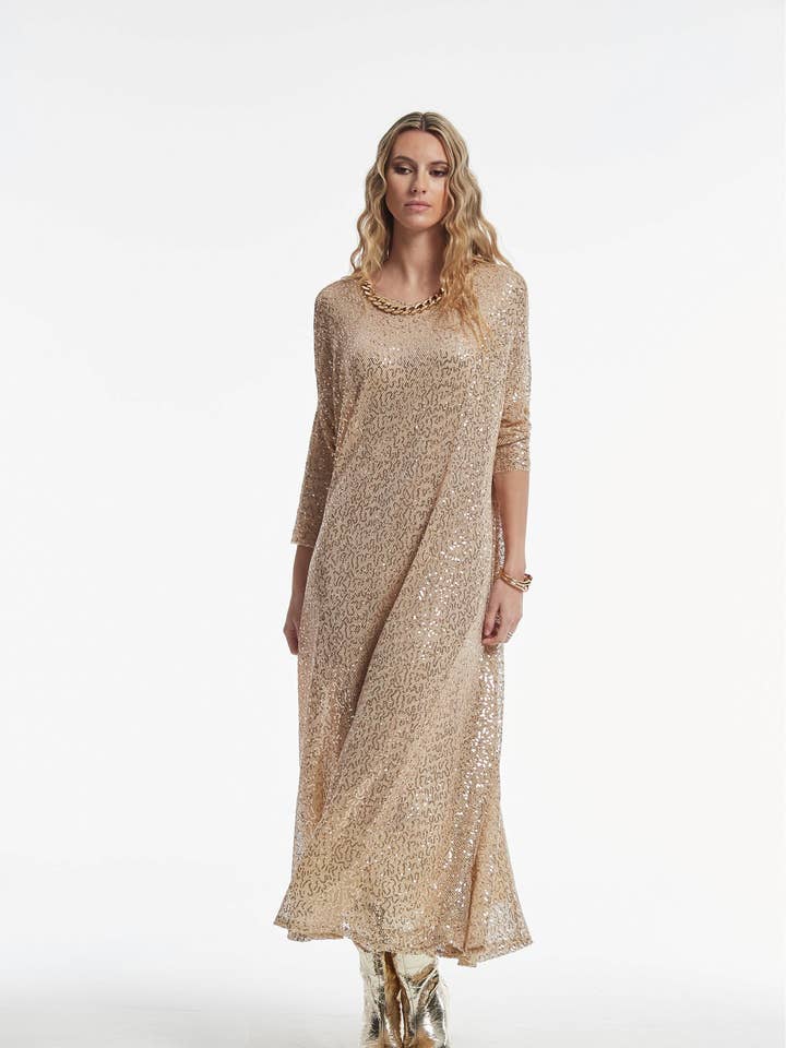 Terna Dress with Embroidered Sequin on Net for wholesale by OKY