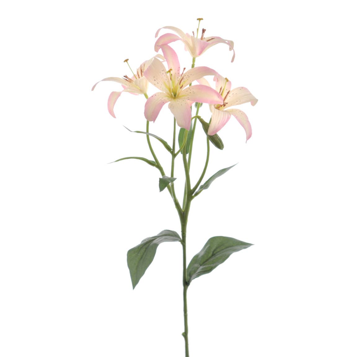 Concari.flores Preservadas - Wholesale Artificial Flowers - LILY ARTIFICIAL ORCHID FLOWER1