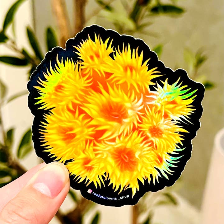 Autocollant Sun Coral (holographique) pour la vente par Reef of Clowns