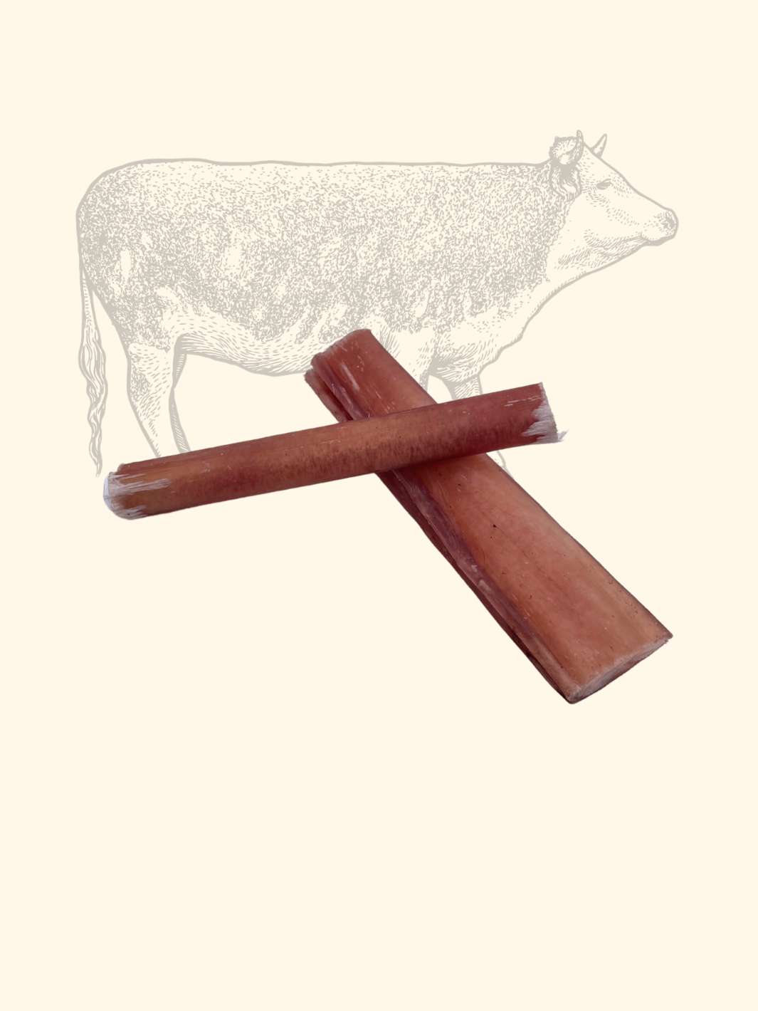 Truffe Délice – wholesale Pet treats – Dog – Beef tendons1