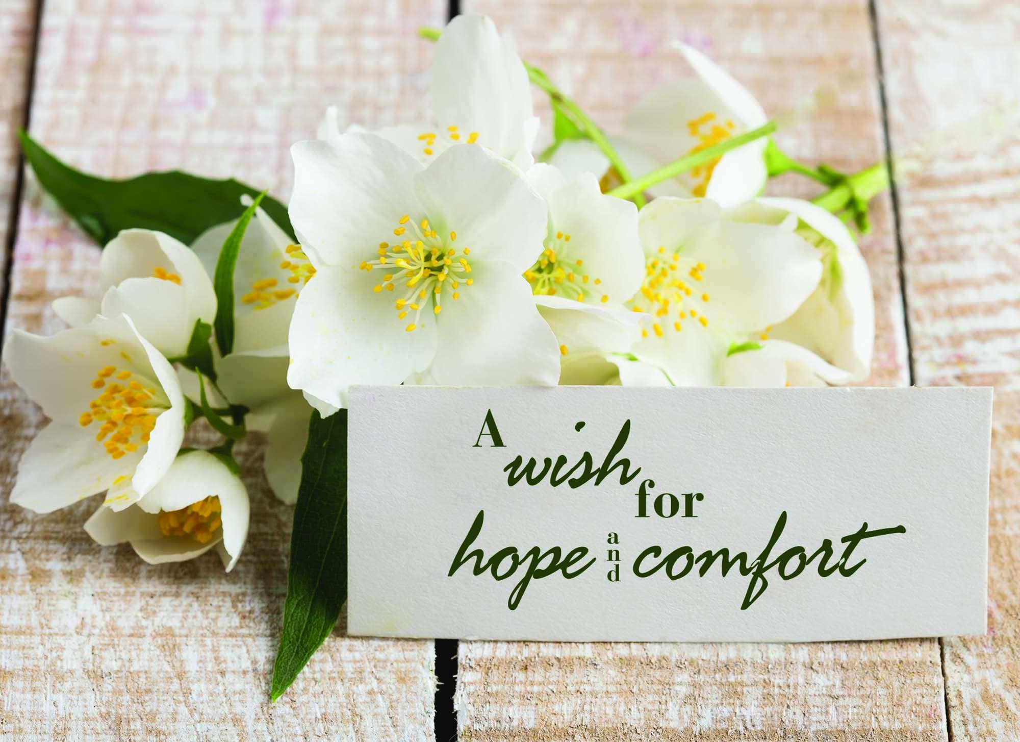 Crown Point Graphics - Vente Cartes d'anniversaire - Grand assortiment pour toutes les occasions - 24 cartes13