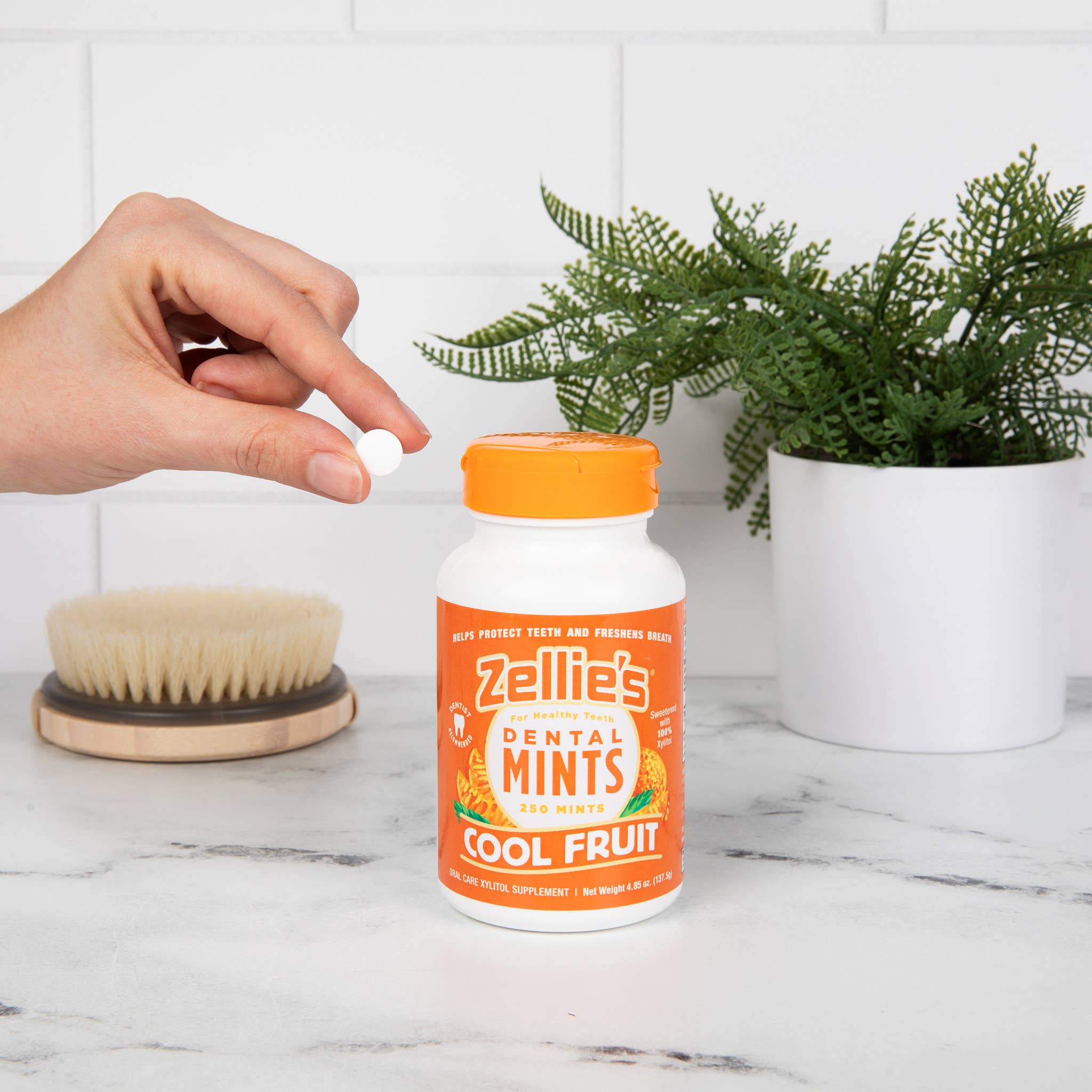 Zellie's - Wholesale Mints - Zellie's Xylitol Dental Mints - Cool Fruit 250ct Jar1