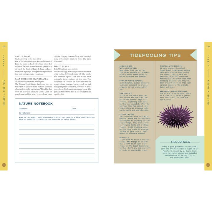 Mountaineers Books - Wholesale Nature & Outdoors Book - 52 Ways to Nature: Washington4