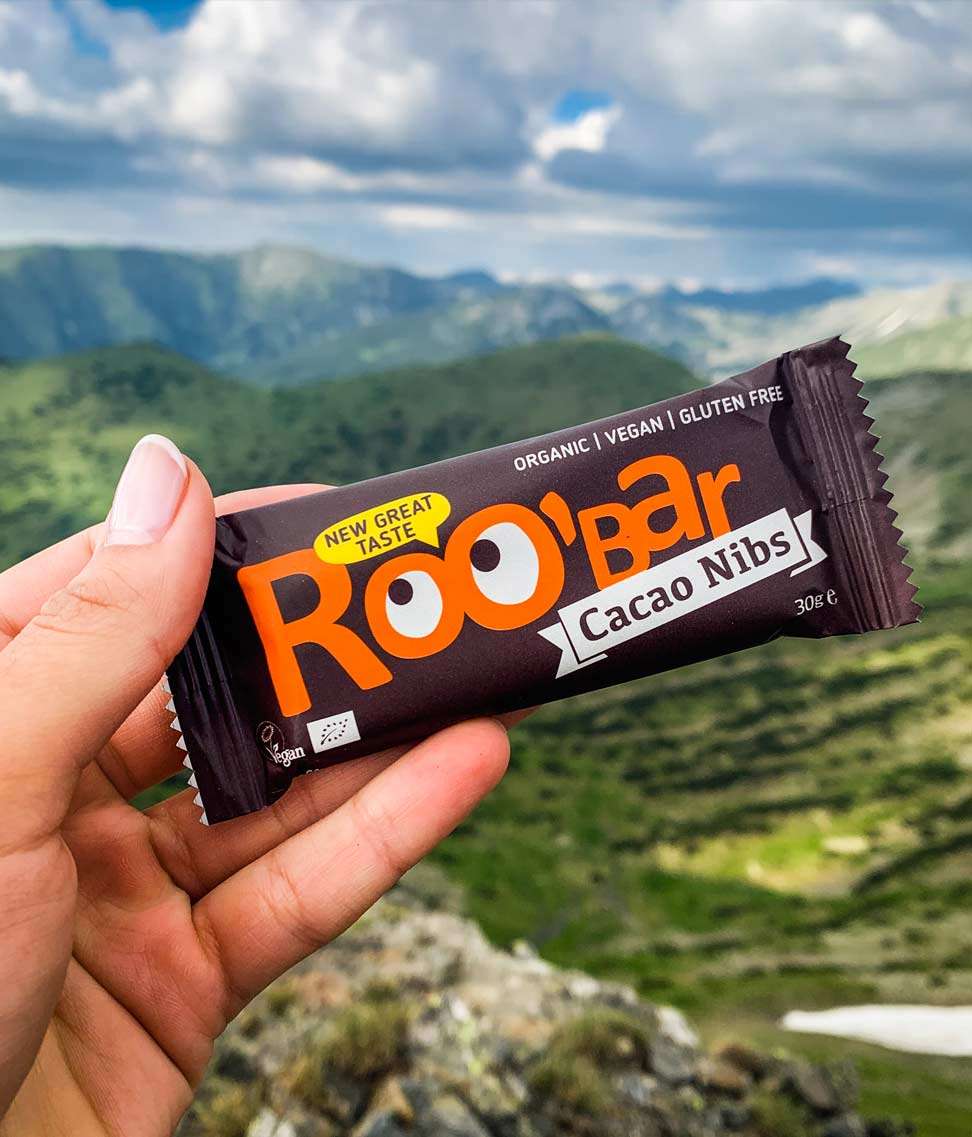 Smart Organic – wholesale Chocolate bar – Cacao Nibs Bar, Bio, Roobar, 30g5