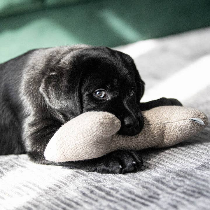 Denjo Dogs - Wholesale Pet Toy - Dog - Dog Toy Pluto Bone Recycled Greige2