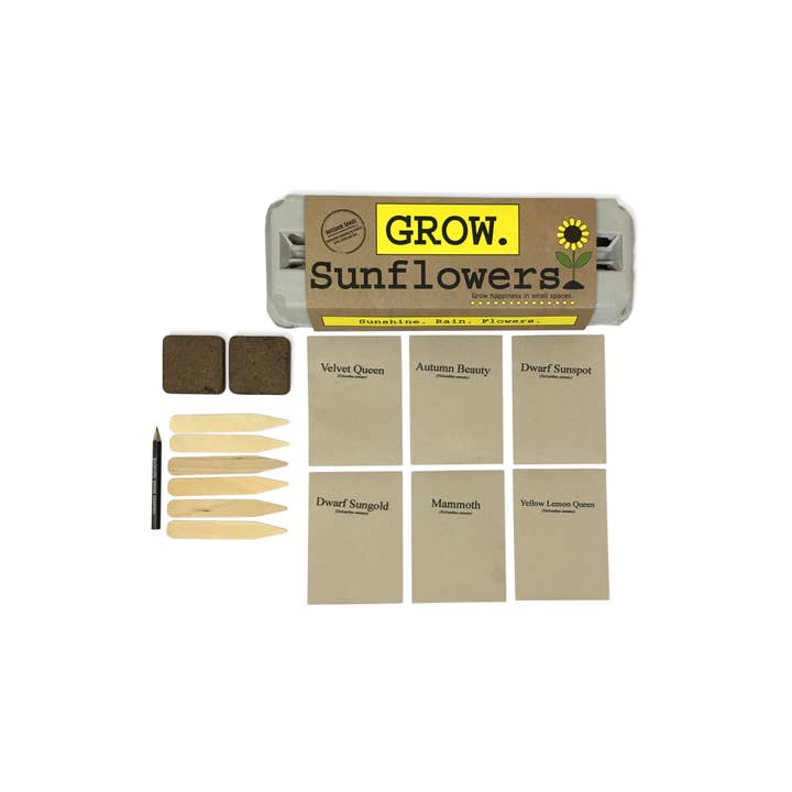 Backyard Safari Company - Wholesale Plant Seeds - Sunflower Garden Grow Kit1