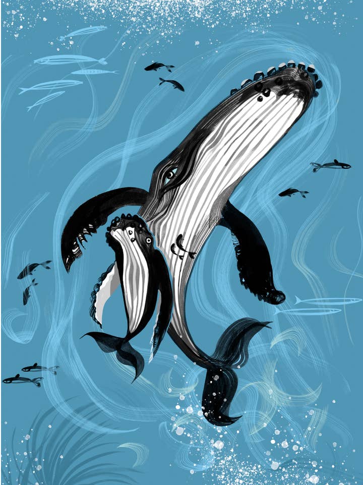 ART PRINT – 'HUMPBACK MOTHER & CALF' (A5, A4 & A3) for wholesale by Lydia. London