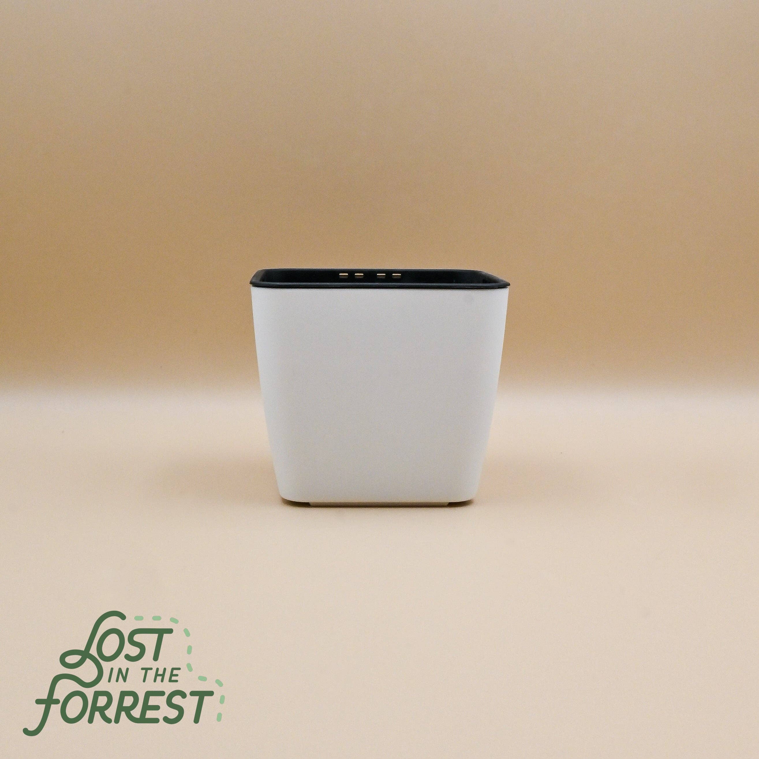 Lost in the Forrest – Vaso de plantas por atacado – Vaso Autorregerável0