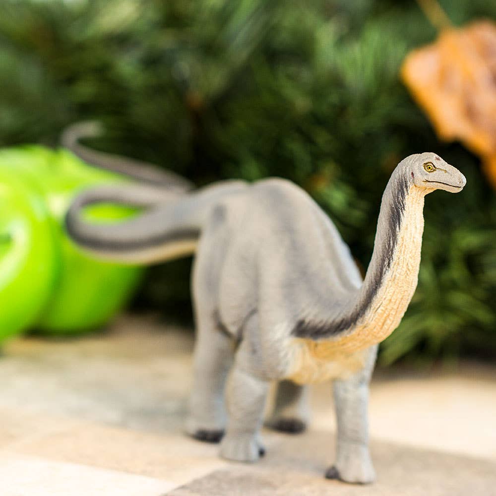 Safari Ltd. - Wholesale Figurine Toy - Kids - Apatosaurus - 3004294