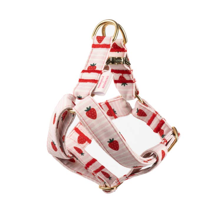 Enkel Sele Strawberry Vibes för wholesale av B de Bruno