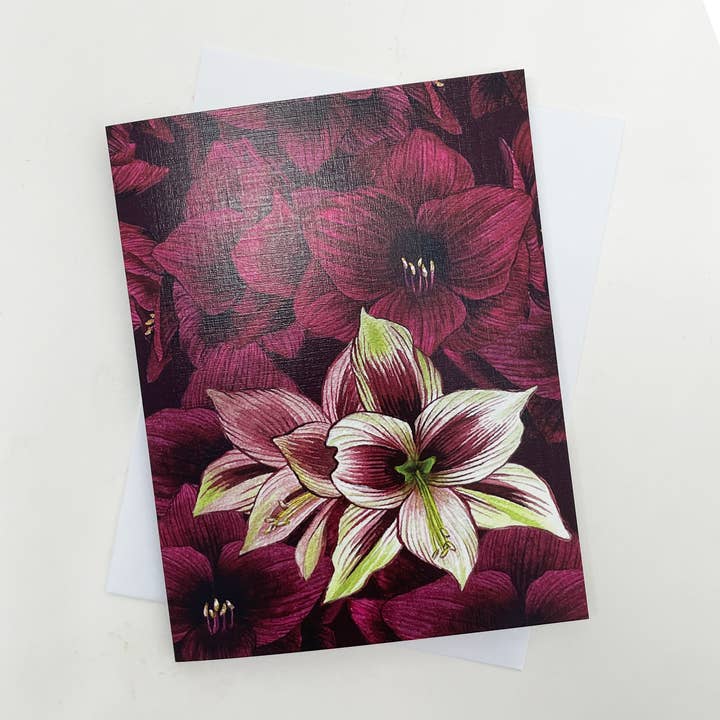 Amaryllis-Mix-Notizkarte für den Großhandel von Broad Bloom