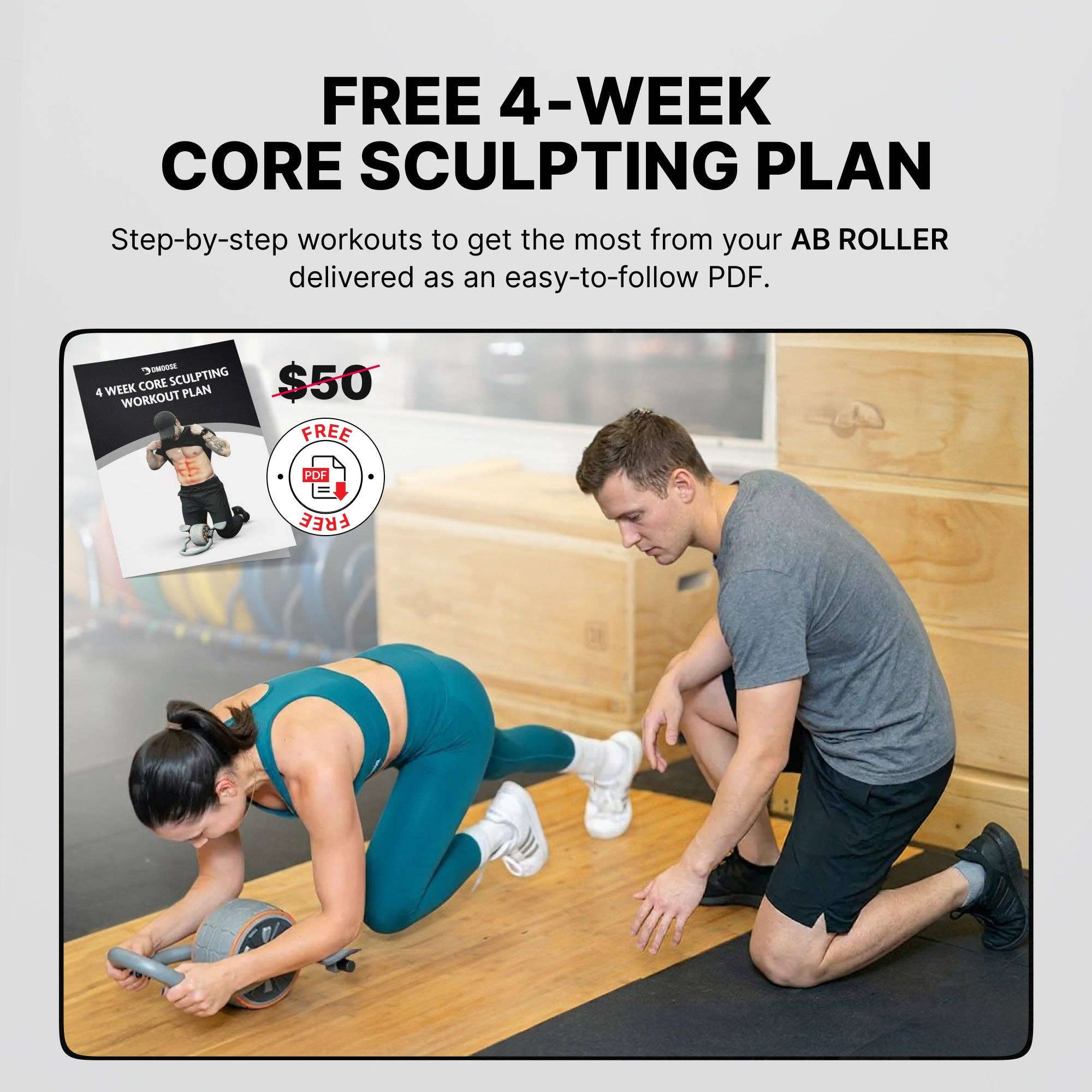 Gray DMoose Ab Roller for wholesale on Faire18