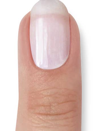 White Blush for wholesale by Miss Sophie