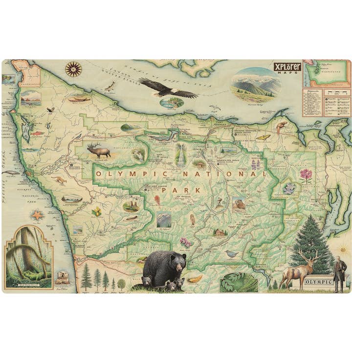 Olympic National Park Map Wood Sign for wholesale by XPLORER MAPS