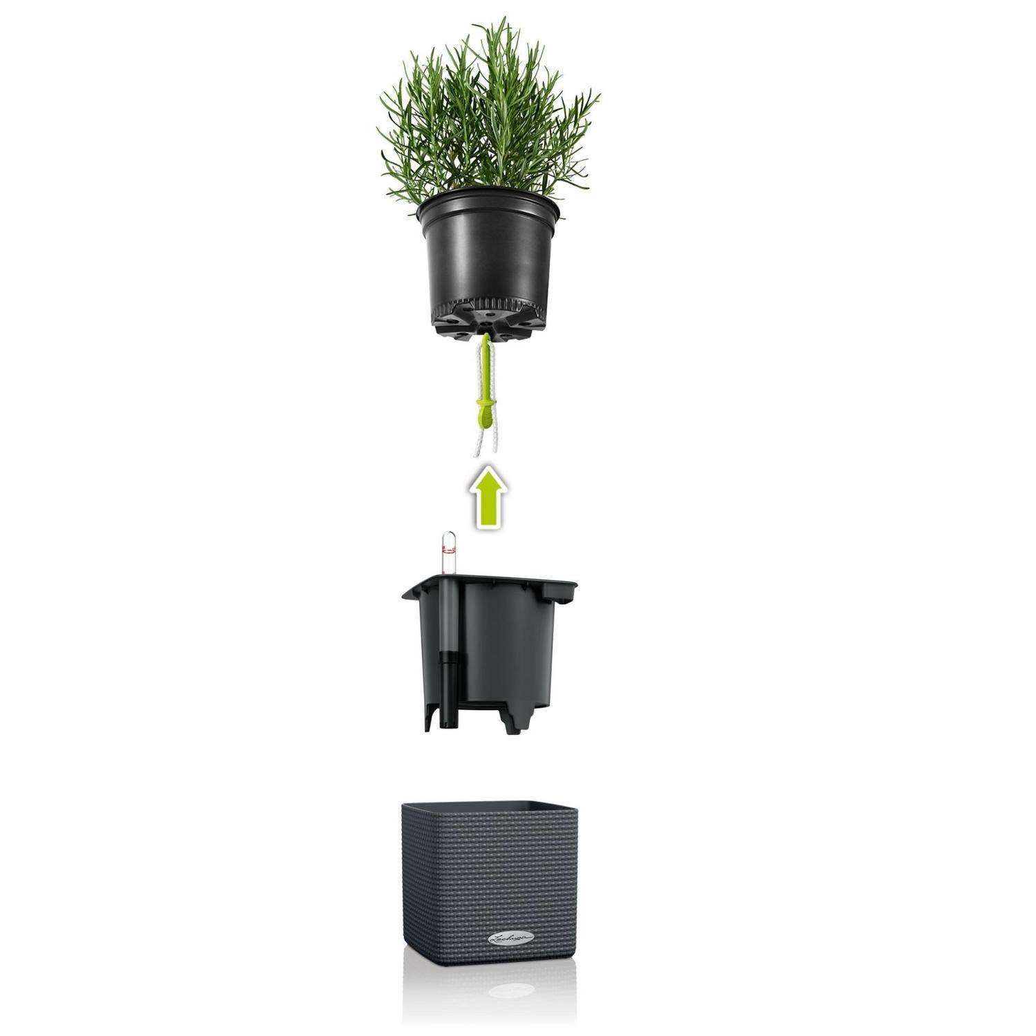 Lechuza Self Watering Planters – Engroshandel Plantekasse – LECHUZA CUBE farve poly harpiks tabel firkantet plantageejer13