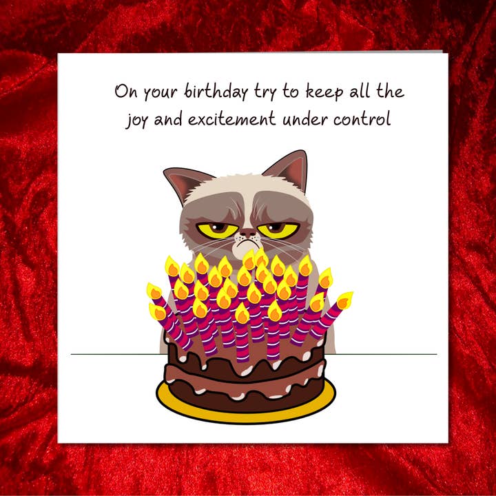 Swizzoo Cards - Wholesale Birthday Card - Grumpy Cat Birthday Card - Funny, humorous, fun - grouchy bad-tempered - husband dad grandad grandpa - humour