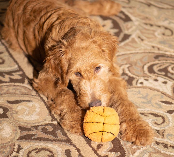 Pet Palette Distribution - Wholesale Pet Plush Toy - Dog - ThoozyPet Basketball Plush Dog Toy 4"