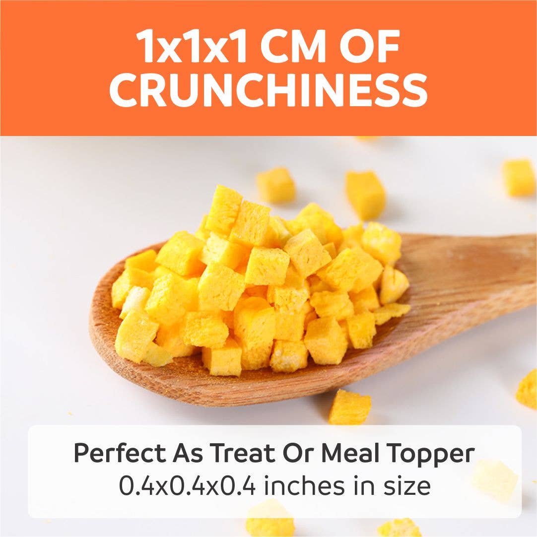 Happy Olly - Wholesale Pet Treats - Dog - Happy Olly Freeze Dried Pumpkin- Single Ingredient Dog Treat1