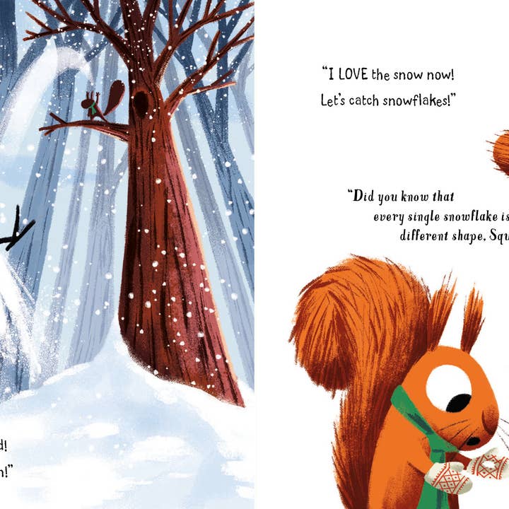 Sourcebooks - Wholesale Preschool Book (3-5) - Snow Thief3