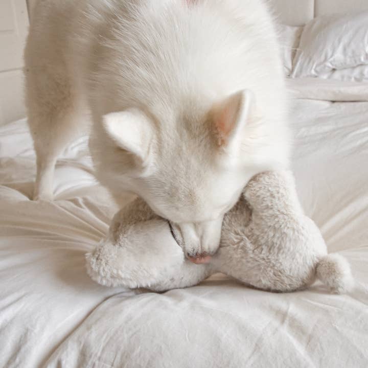 Fur Elise Pets - Wholesale Pet Plush Toy - Dog - Ella Plushie2