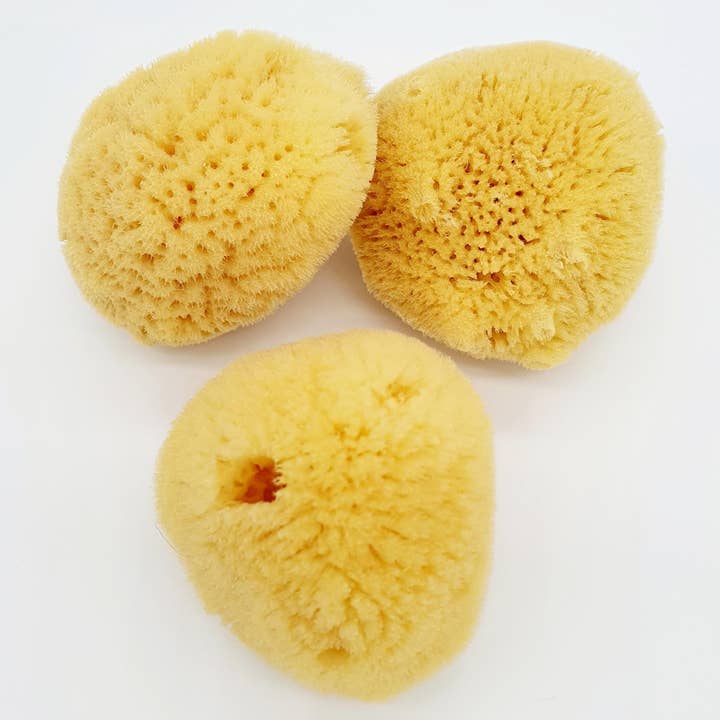 Croll & Denecke - Wholesale Bath Pouf/Sponge - Natural Face Sponges - Giveaway, Gift Spa Soap