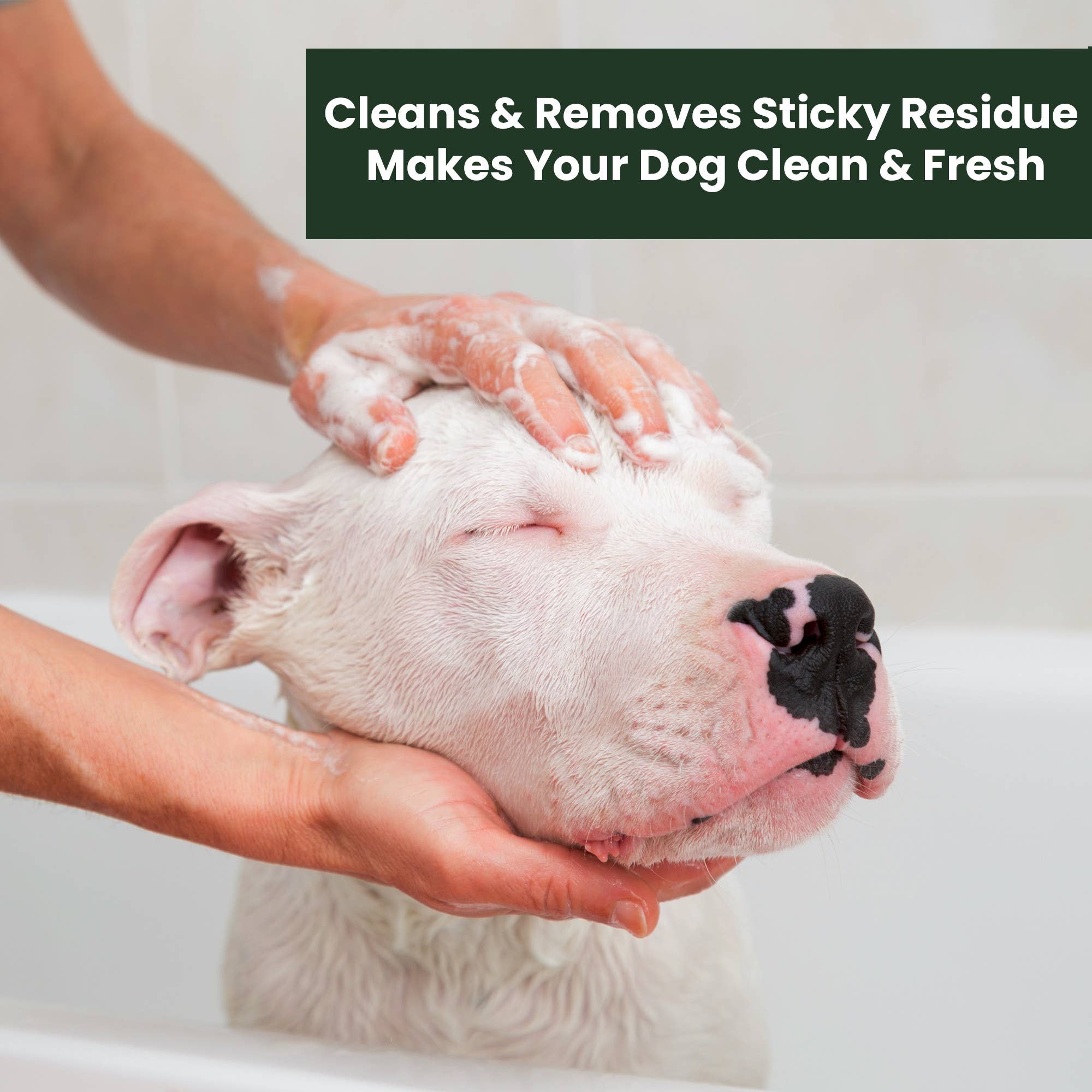 Aroma Paws - Wholesale Pet Grooming Aid - Dog - 13.5 Oz. Organic Cucumber & Aloe Facial Scrub5