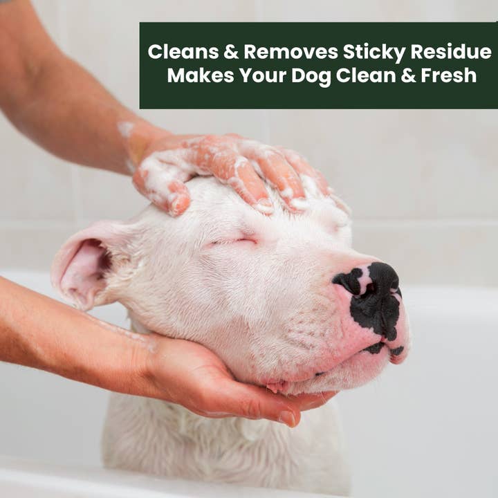 Aroma Paws - Wholesale Pet Grooming Aid - Dog - 13.5 Oz. Organic Cucumber & Aloe Facial Scrub5