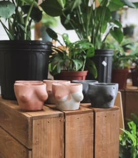 Queen City Crete - Wholesale Plant Pot - Mini Boob planter