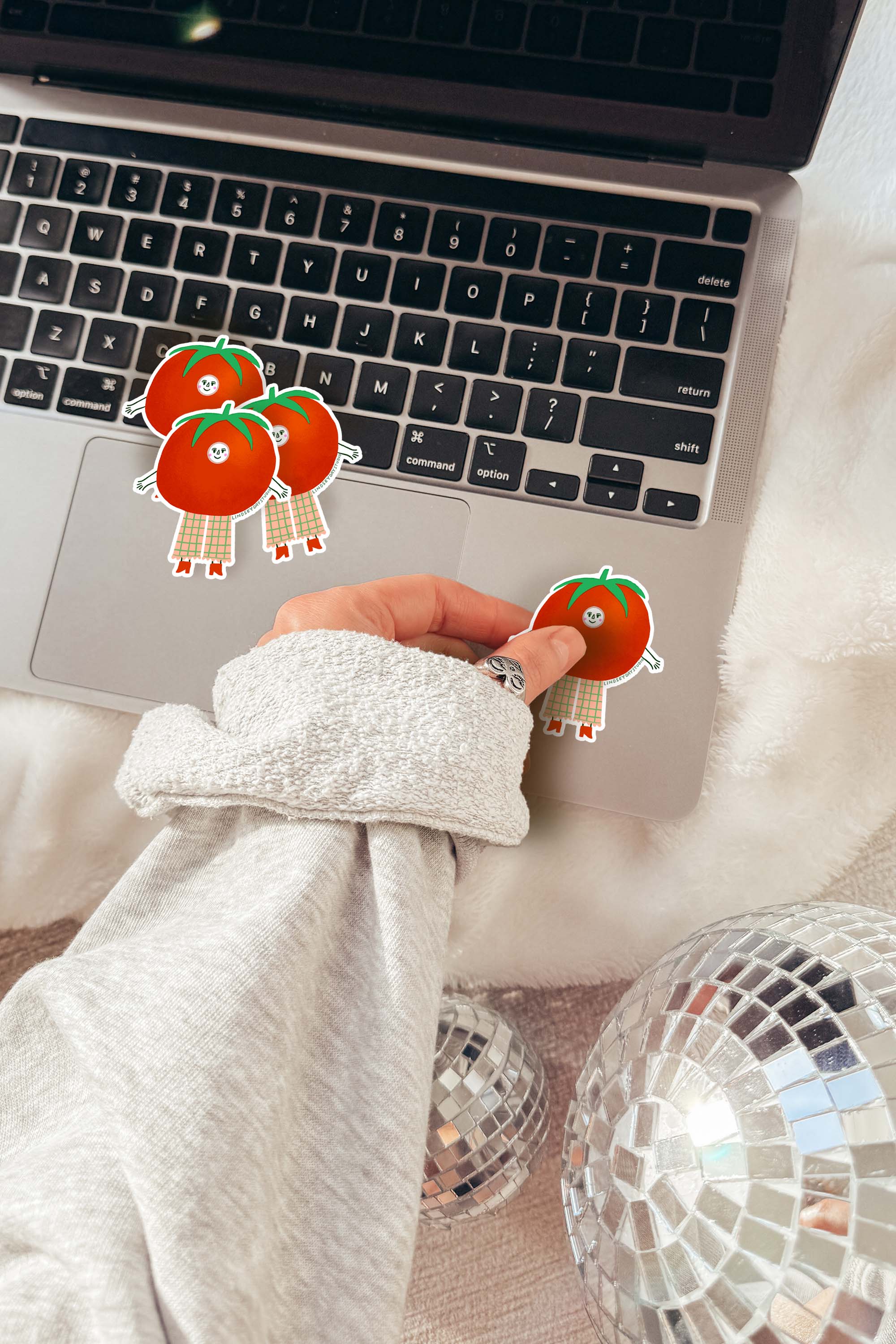 Lindsey Day Studio - Wholesale Sticker - Tammy Tomato Sticker, Funny Sticker, Food Sticker 7