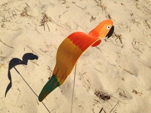 Florida Dancing Birds - Wholesale Outdoor Ornament/Decor - Orange Parrot