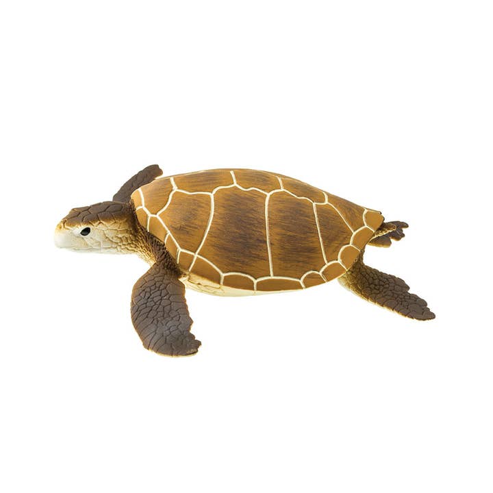Green Sea Turtle - 202329 for wholesale by Safari Ltd.