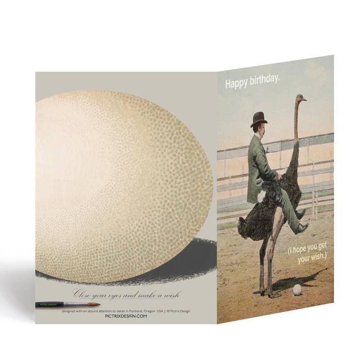 Pictrix Design - Vente Cartes d'anniversaire - "Ferme les yeux et fais un vœu" (autruche) Carte d'anniversaire A6