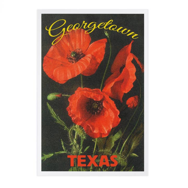 TARJETAS POSTALES PREMIUM Georgetown, Texas, flores de amapola para venta al por mayor de Lantern Press