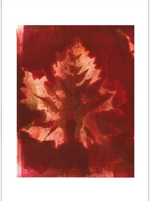 Cab Franc Leaf på rost för wholesale av Finalina