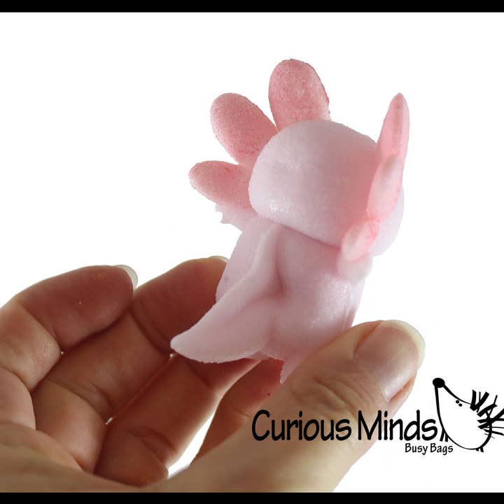 Curious Minds Toys – wholesale Toy set – Kids – 1 Hatch and Grow an Axolotl Egg in Water - Add Water and it4