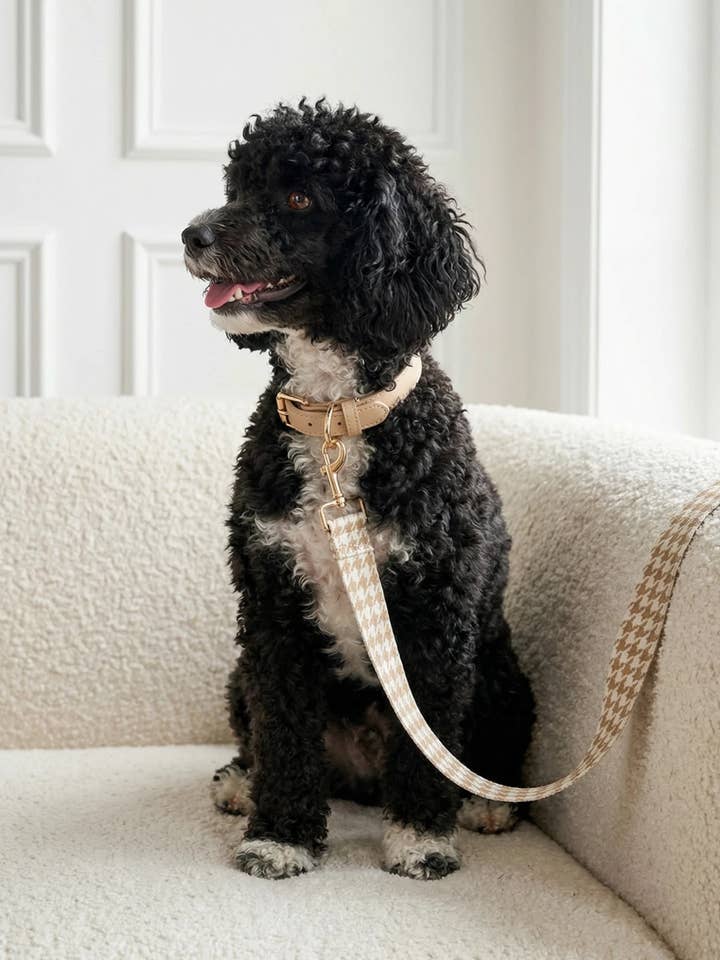 Leine Lueur voor wholesale door Meilleur Ami