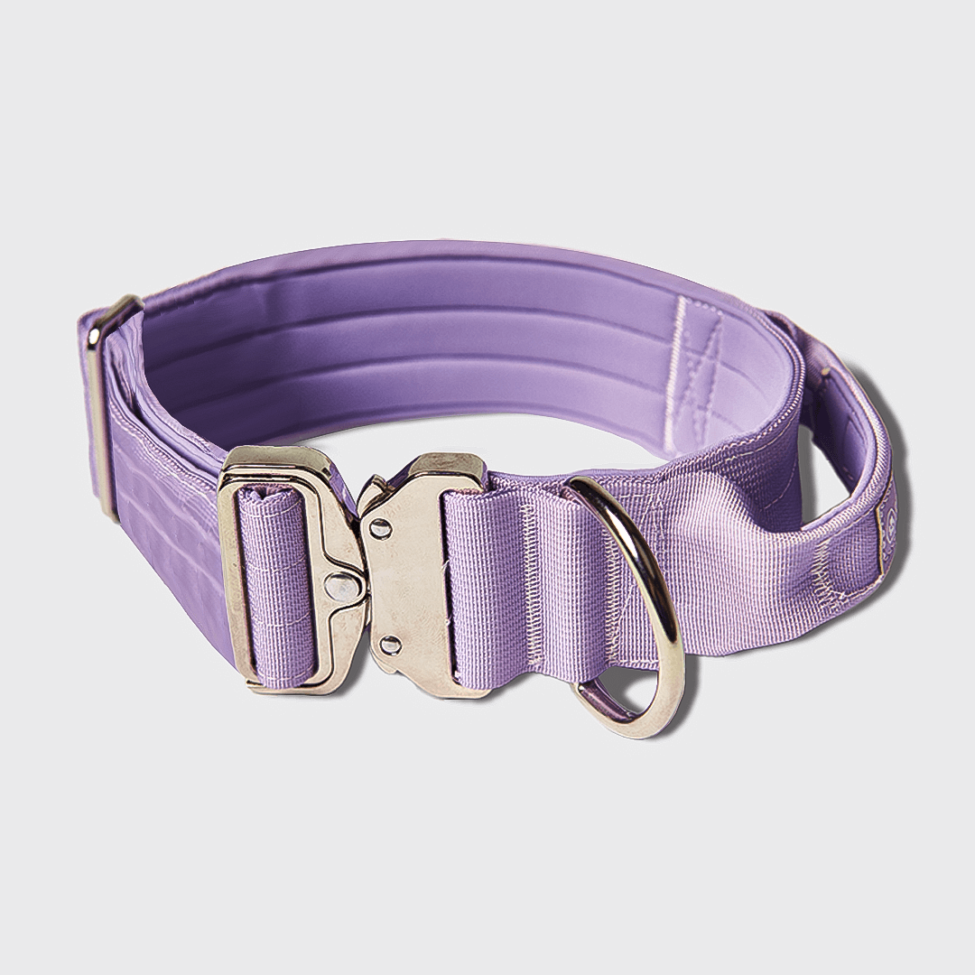 Spark Paws - Wholesale Pet Collar - Dog - Tactical Dog Collar - Lilac (2"/5cm)1